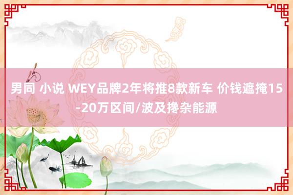 男同 小说 WEY品牌2年将推8款新车 价钱遮掩15-20万区间/波及搀杂能源