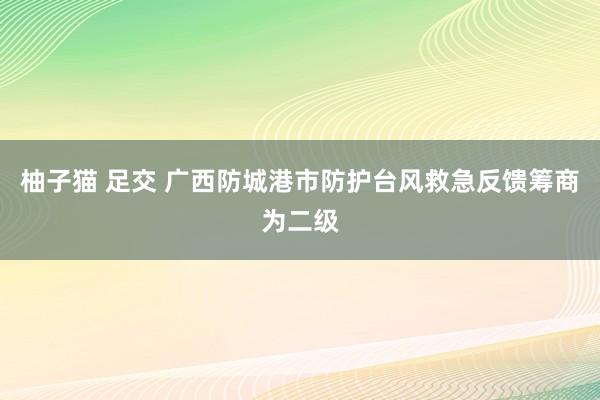 柚子猫 足交 广西防城港市防护台风救急反馈筹商为二级