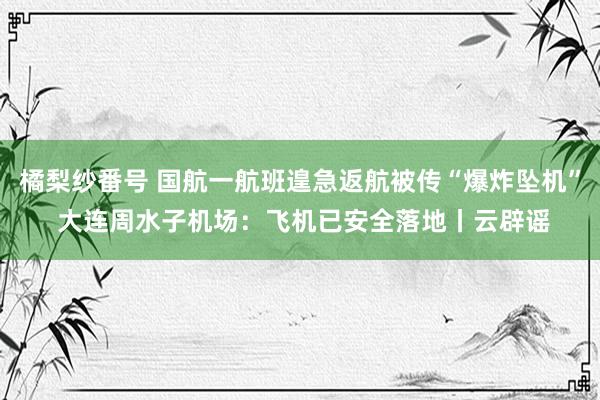 橘梨纱番号 国航一航班遑急返航被传“爆炸坠机” 大连周水子机场：飞机已安全落地丨云辟谣