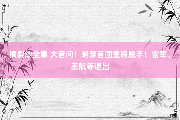 橘梨纱全集 大音问！蚂聚首团重磅脱手！雷军、王航等退出