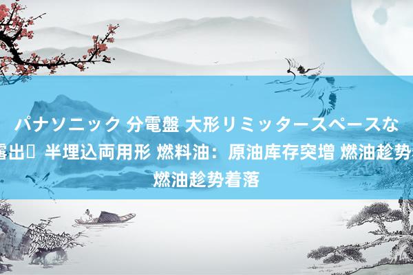 パナソニック 分電盤 大形リミッタースペースなし 露出・半埋込両用形 燃料油：原油库存突增 燃油趁势着落