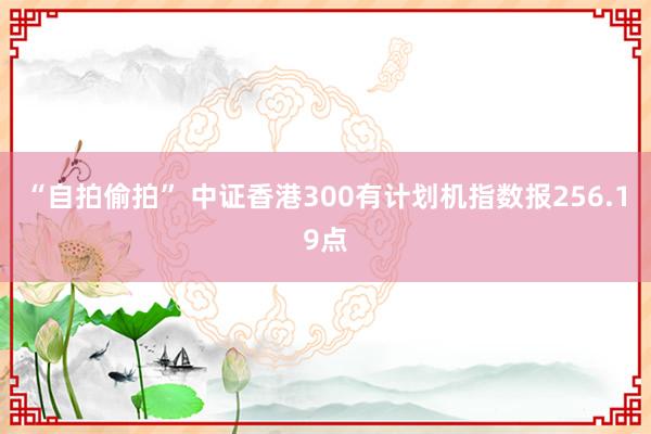 “自拍偷拍” 中证香港300有计划机指数报256.19点