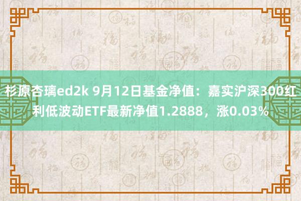 杉原杏璃ed2k 9月12日基金净值：嘉实沪深300红利低波动ETF最新净值1.2888，涨0.03%