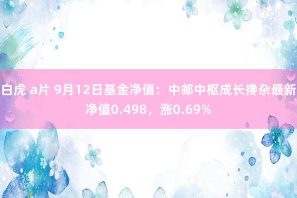 白虎 a片 9月12日基金净值：中邮中枢成长搀杂最新净值0.498，涨0.69%