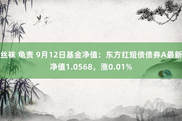 丝袜 龟责 9月12日基金净值：东方红短债债券A最新净值1.0568，涨0.01%