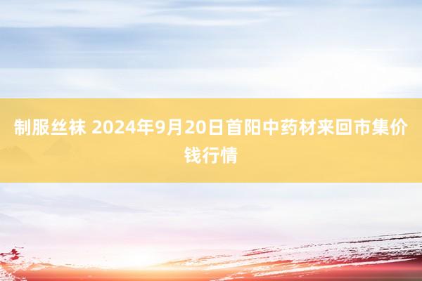 制服丝袜 2024年9月20日首阳中药材来回市集价钱行情