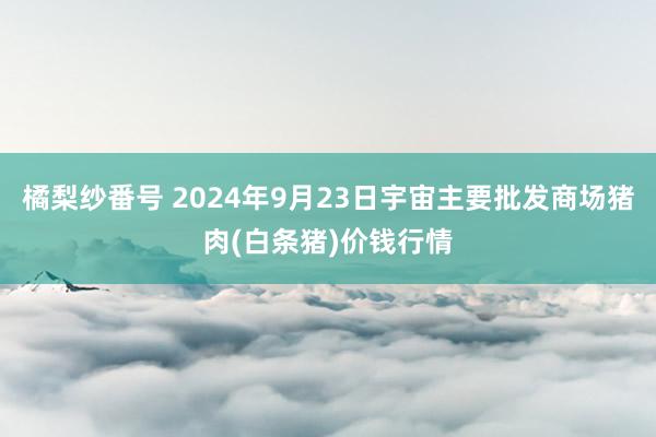 橘梨纱番号 2024年9月23日宇宙主要批发商场猪肉(白条猪)价钱行情