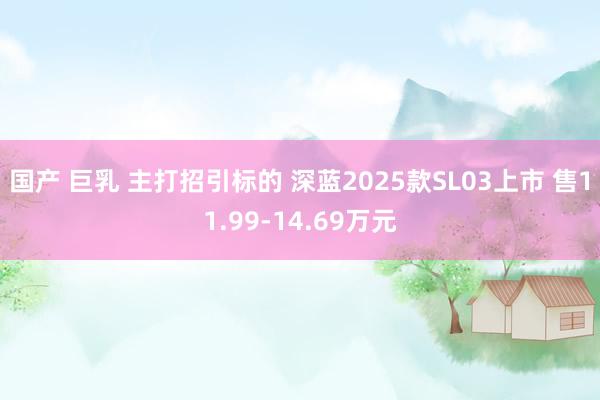 国产 巨乳 主打招引标的 深蓝2025款SL03上市 售11.99-14.69万元