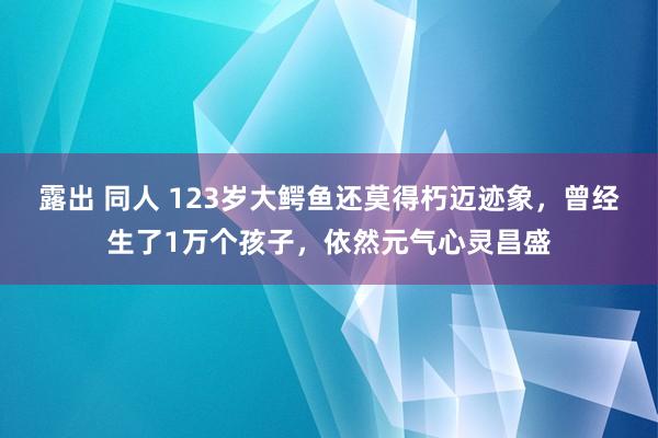 露出 同人 123岁大鳄鱼还莫得朽迈迹象，曾经生了1万个孩子，依然元气心灵昌盛