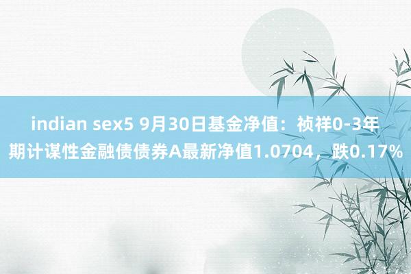 indian sex5 9月30日基金净值：祯祥0-3年期计谋性金融债债券A最新净值1.0704，跌0.17%