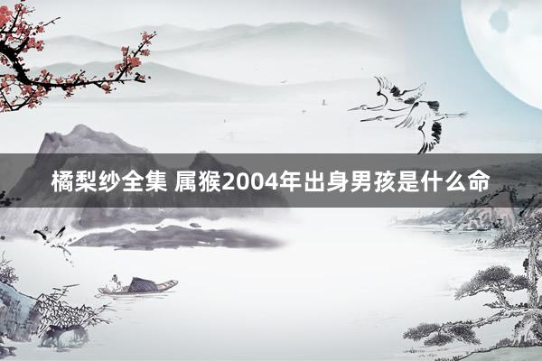 橘梨纱全集 属猴2004年出身男孩是什么命