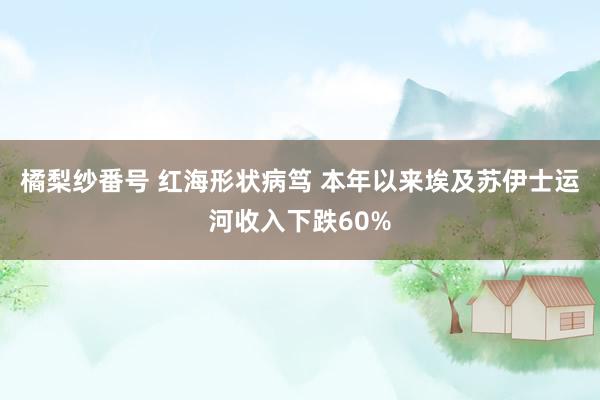 橘梨纱番号 红海形状病笃 本年以来埃及苏伊士运河收入下跌60%