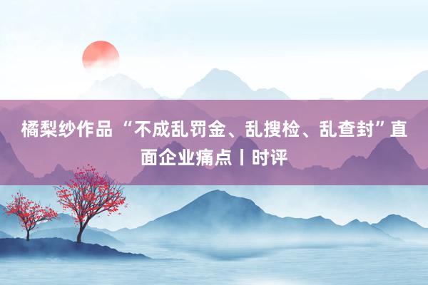 橘梨纱作品 “不成乱罚金、乱搜检、乱查封”直面企业痛点丨时评