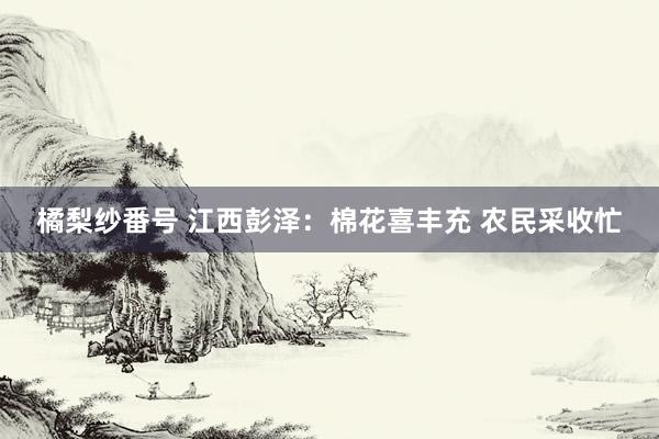 橘梨纱番号 江西彭泽：棉花喜丰充 农民采收忙