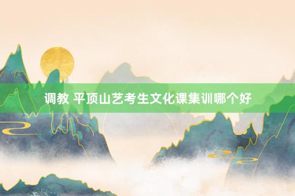 调教 平顶山艺考生文化课集训哪个好