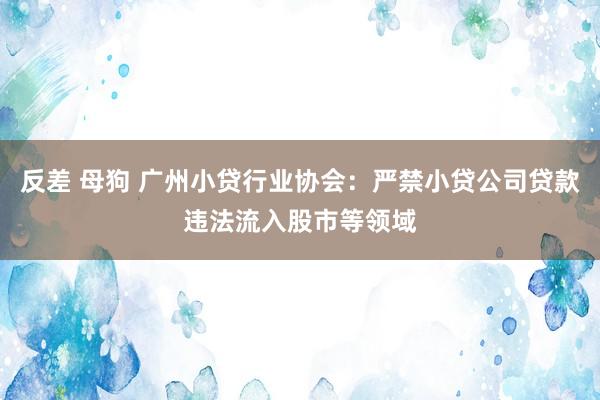 反差 母狗 广州小贷行业协会：严禁小贷公司贷款违法流入股市等领域