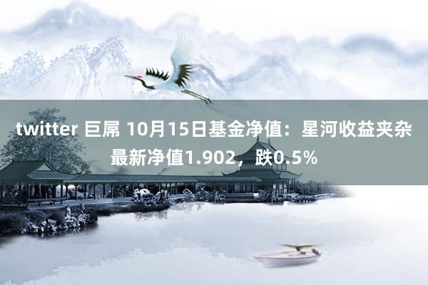 twitter 巨屌 10月15日基金净值：星河收益夹杂最新净值1.902，跌0.5%