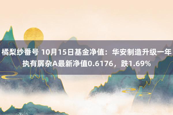 橘梨纱番号 10月15日基金净值：华安制造升级一年执有羼杂A最新净值0.6176，跌1.69%