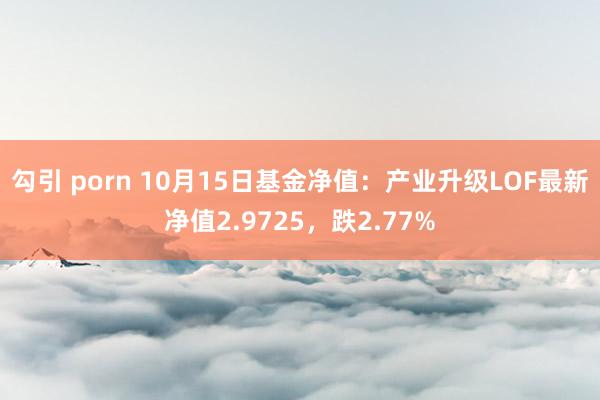 勾引 porn 10月15日基金净值：产业升级LOF最新净值2.9725，跌2.77%