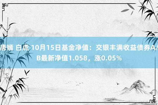 唐嫣 白虎 10月15日基金净值：交银丰满收益债券A/B最新净值1.058，涨0.05%