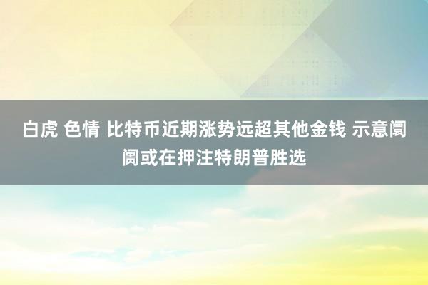 白虎 色情 比特币近期涨势远超其他金钱 示意阛阓或在押注特朗普胜选