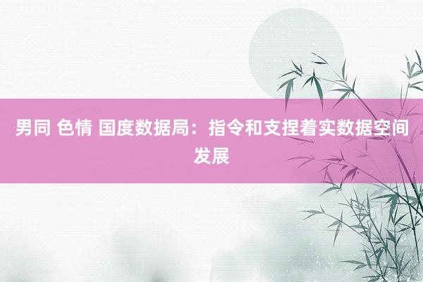 男同 色情 国度数据局：指令和支捏着实数据空间发展