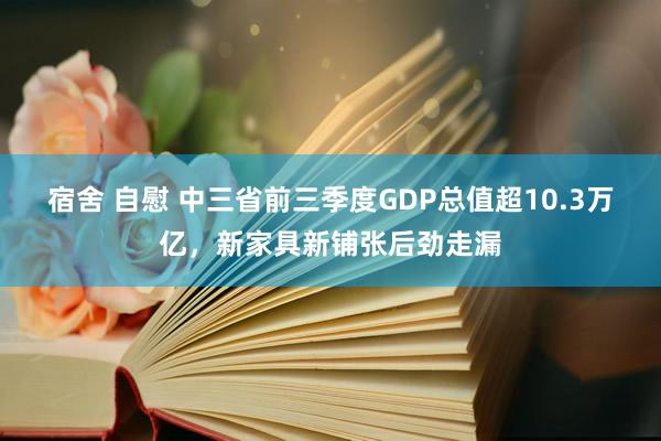 宿舍 自慰 中三省前三季度GDP总值超10.3万亿，新家具新铺张后劲走漏