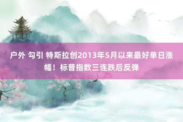 户外 勾引 特斯拉创2013年5月以来最好单日涨幅！标普指数三连跌后反弹