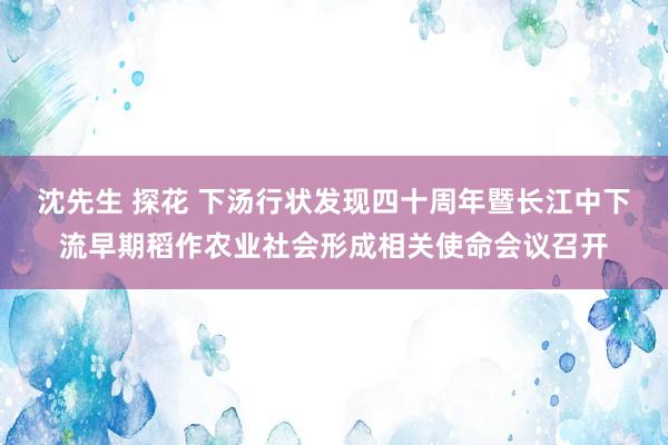 沈先生 探花 下汤行状发现四十周年暨长江中下流早期稻作农业社会形成相关使命会议召开