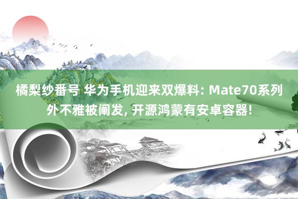 橘梨纱番号 华为手机迎来双爆料: Mate70系列外不雅被阐发， 开源鸿蒙有安卓容器!