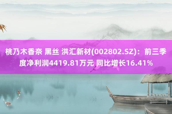 桃乃木香奈 黑丝 洪汇新材(002802.SZ)：前三季度净利润4419.81万元 同比增长16.41%