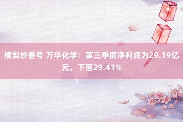 橘梨纱番号 万华化学：第三季度净利润为29.19亿元，下落29.41%