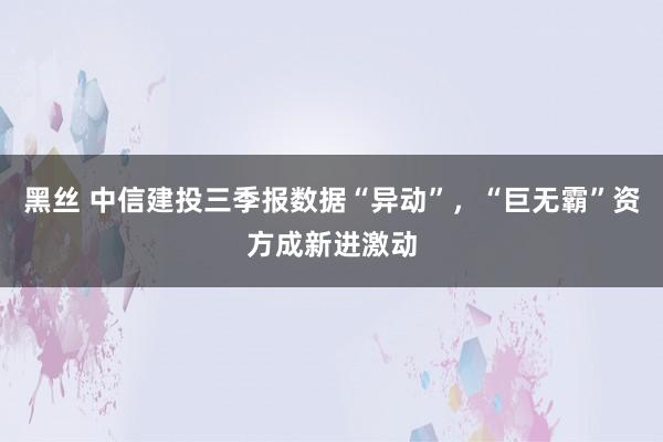 黑丝 中信建投三季报数据“异动”，“巨无霸”资方成新进激动