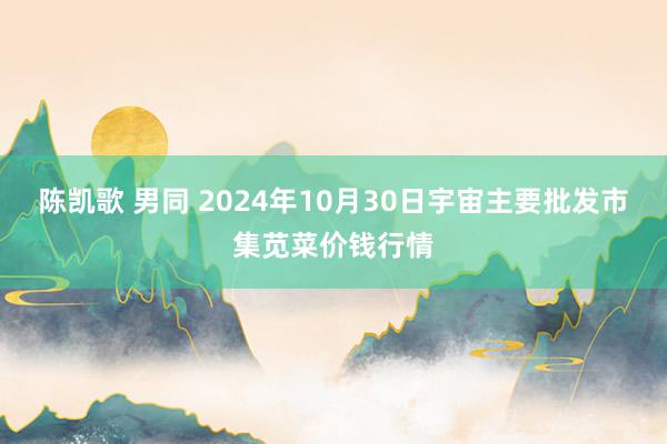 陈凯歌 男同 2024年10月30日宇宙主要批发市集苋菜价钱行情