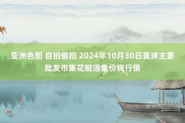 亚洲色图 自拍偷拍 2024年10月30日寰球主要批发市集花鲢活鱼价钱行情