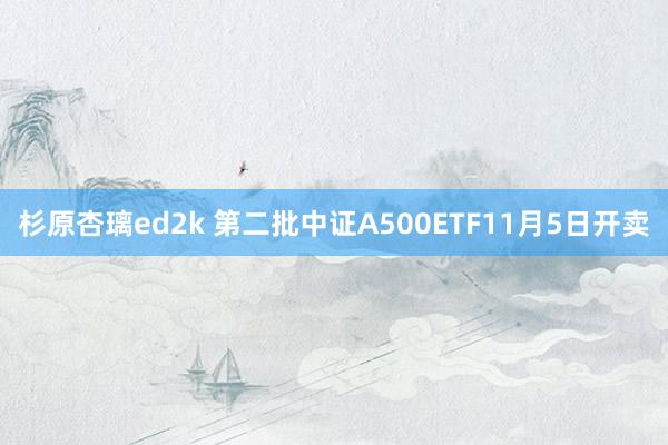 杉原杏璃ed2k 第二批中证A500ETF11月5日开卖