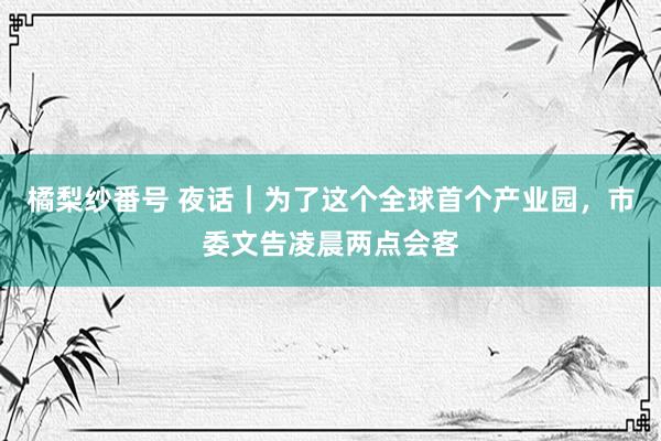 橘梨纱番号 夜话｜为了这个全球首个产业园，市委文告凌晨两点会客