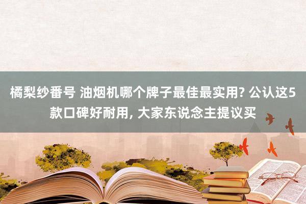 橘梨纱番号 油烟机哪个牌子最佳最实用? 公认这5款口碑好耐用， 大家东说念主提议买