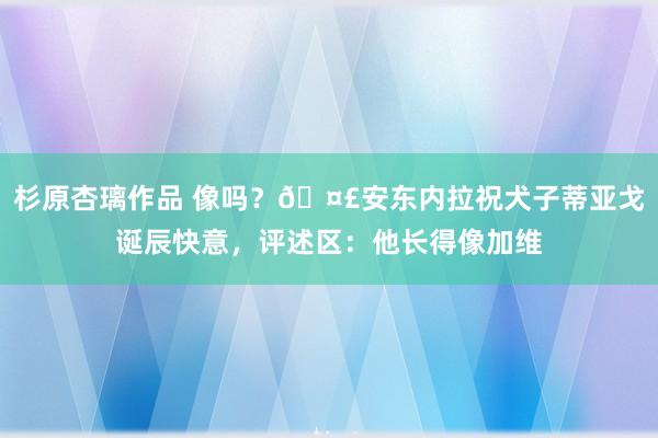 杉原杏璃作品 像吗？🤣安东内拉祝犬子蒂亚戈诞辰快意，评述区：他长得像加维