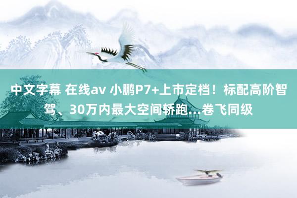 中文字幕 在线av 小鹏P7+上市定档！标配高阶智驾、30万内最大空间轿跑...卷飞同级