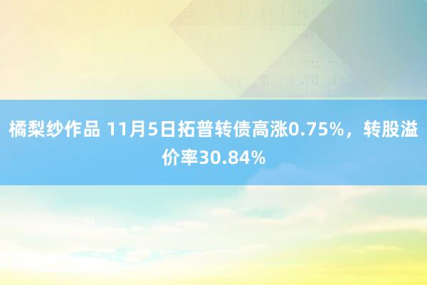 橘梨纱作品 11月5日拓普转债高涨0.75%，转股溢价率30.84%