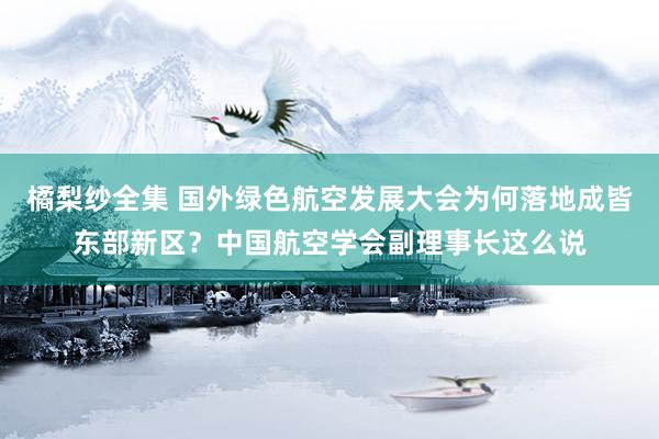 橘梨纱全集 国外绿色航空发展大会为何落地成皆东部新区？中国航空学会副理事长这么说