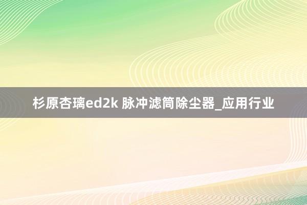 杉原杏璃ed2k 脉冲滤筒除尘器_应用行业