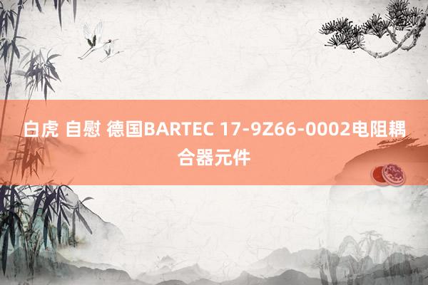 白虎 自慰 德国BARTEC 17-9Z66-0002电阻耦合器元件