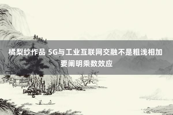 橘梨纱作品 5G与工业互联网交融不是粗浅相加 要阐明乘数效应