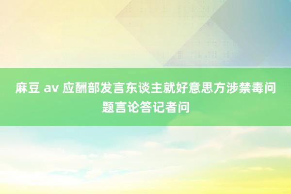 麻豆 av 应酬部发言东谈主就好意思方涉禁毒问题言论答记者问