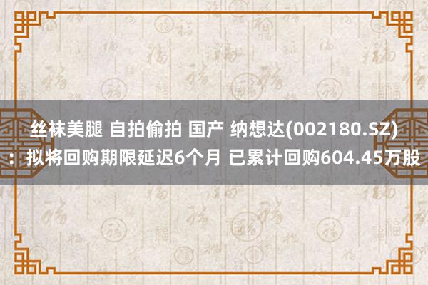 丝袜美腿 自拍偷拍 国产 纳想达(002180.SZ)：拟将回购期限延迟6个月 已累计回购604.45万股