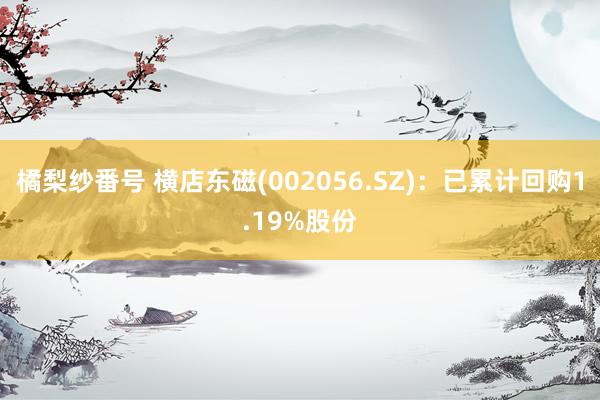 橘梨纱番号 横店东磁(002056.SZ)：已累计回购1.19%股份