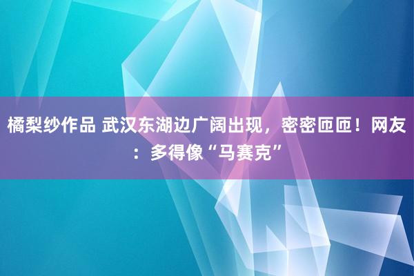 橘梨纱作品 武汉东湖边广阔出现，密密匝匝！网友：多得像“马赛克”