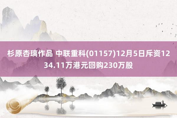 杉原杏璃作品 中联重科(01157)12月5日斥资1234.11万港元回购230万股